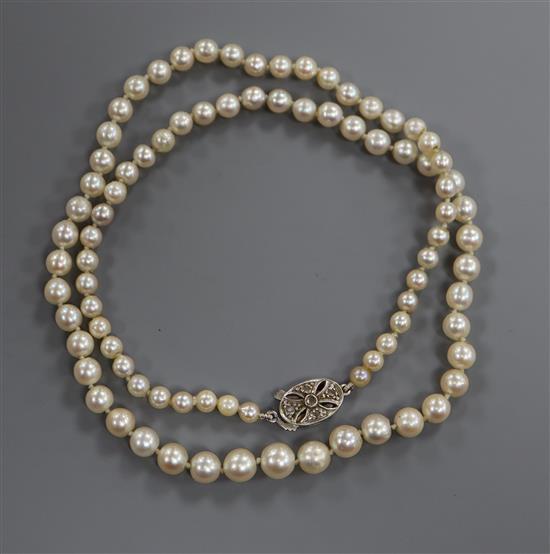 A single strand cultured pearl necklace with diamond set white metal clasp, 41cm.
